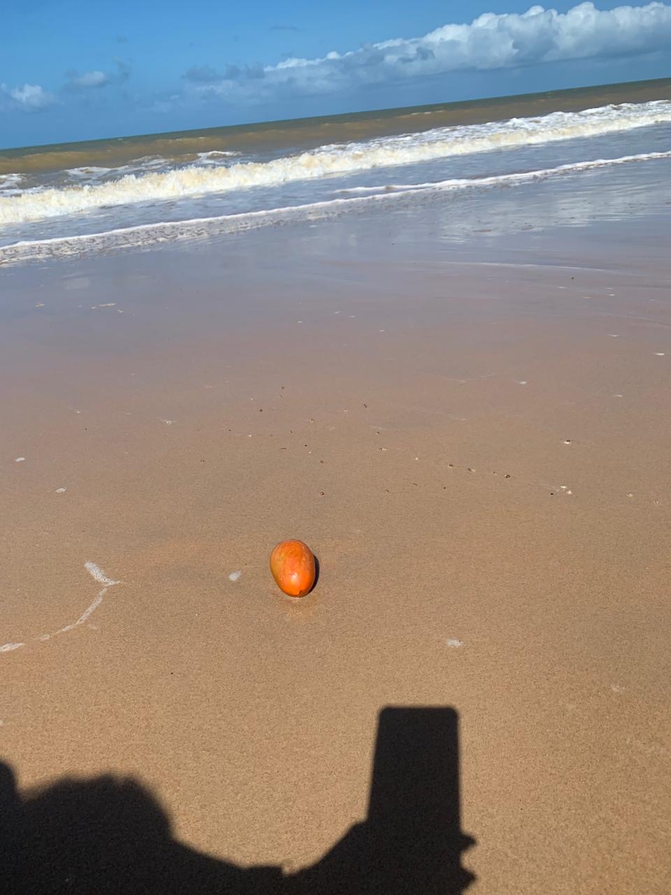 Foto de Campo 7
